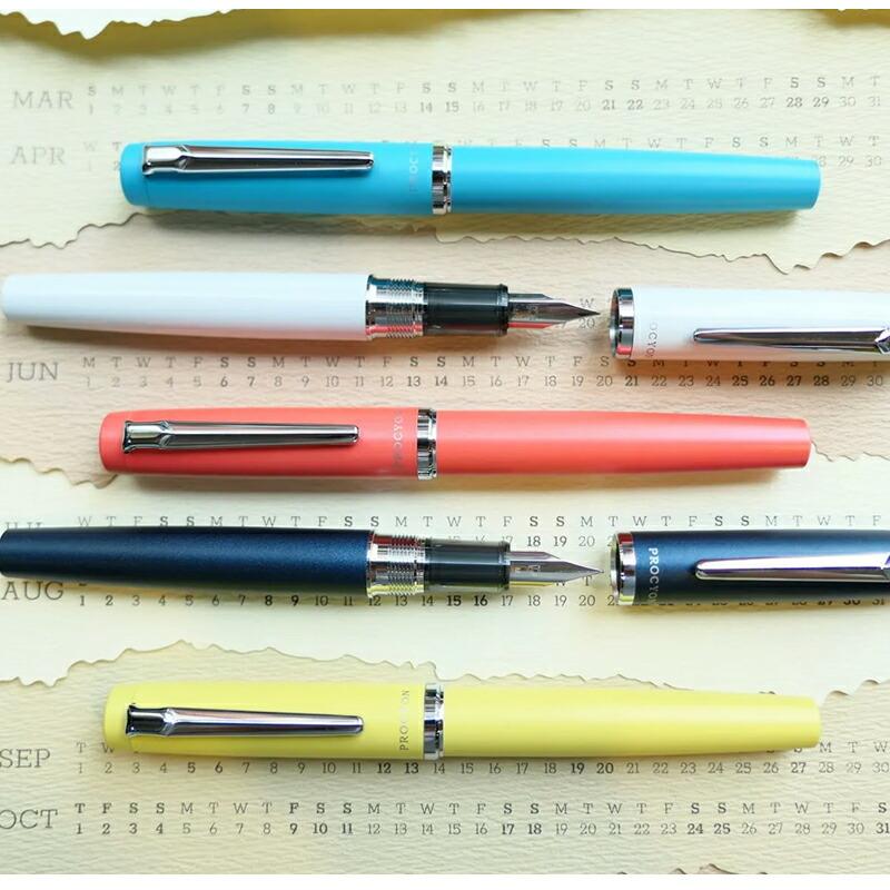 プラチナ万年筆 名入れ PLATINUM PROCYON プロシオン F/M PNS-5000 全7