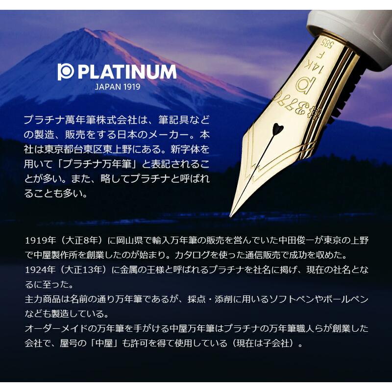 名入れ 万年筆 プラチナ PLATINUM ＃3776 肥後象嵌 大型14Kペン先 F