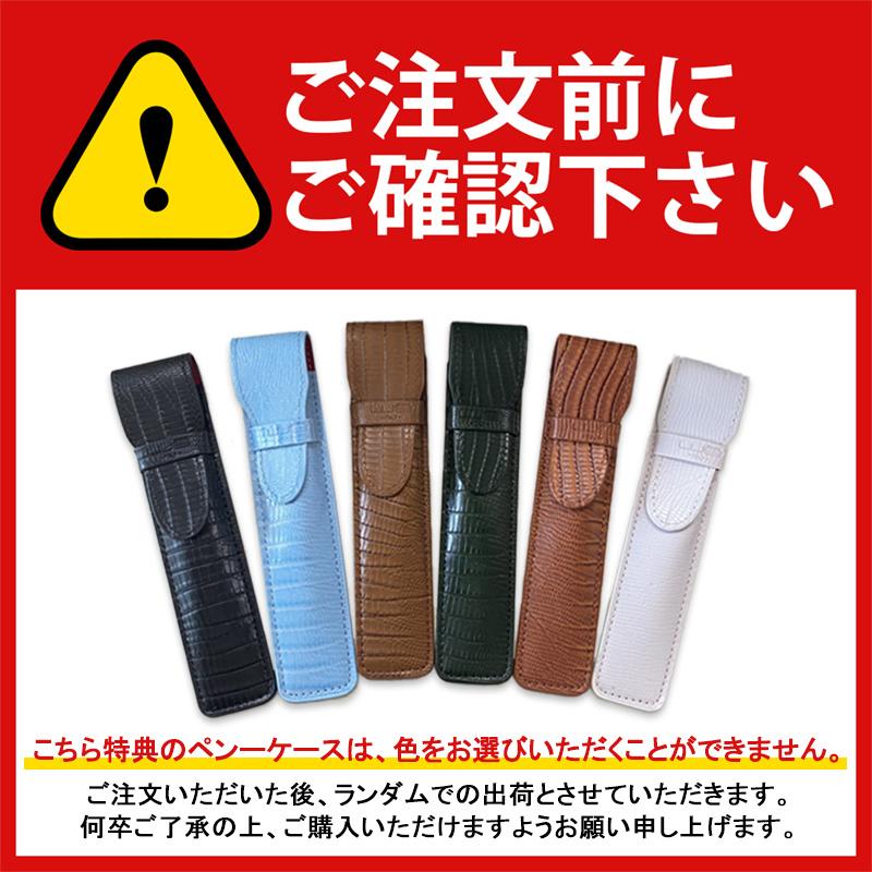 エキスパート 名入れ ボールペン ウォーターマン エッセンシャル