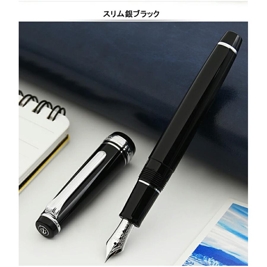 プロフェッショナルギア 名入れ 万年筆 セーラー SAILOR スリム プロフェッショナルギア 名入れ 万年筆 セーラー SAILOR スリム