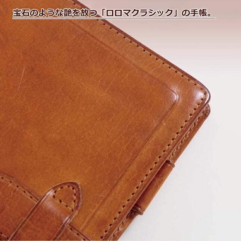 ダ・ヴィンチ レイメイ藤井 DAVINCI グランデ システム手帳 ロロマ