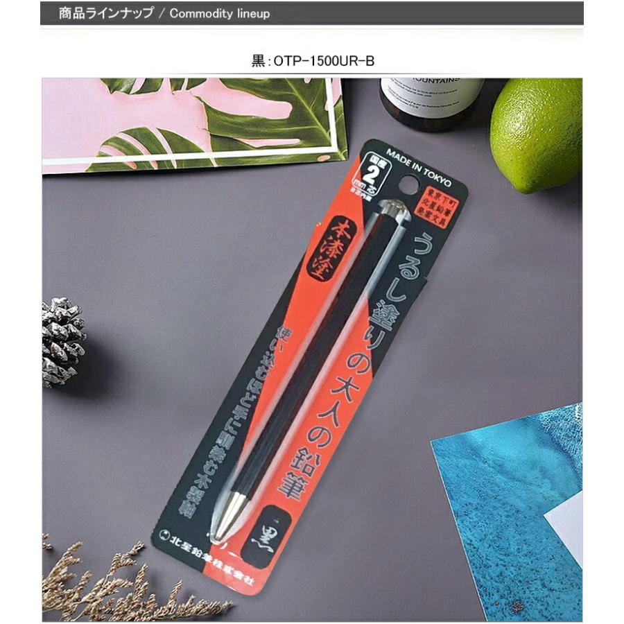 鉛筆 クツワ】アート鉛筆 ホクサインの通販|鉛筆の通販なら世界堂