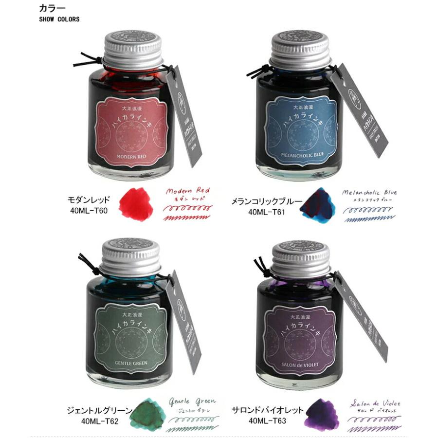 寺西化学工業 ボトルインク ギター 大正浪漫 ハイカラインキ