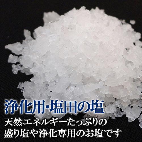 浄化用 塩田の塩 1kg｜yowado