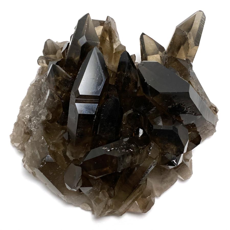トマスゴンサガ産 スモーキークォーツ 茶水晶 クラスター 約470g : 陽