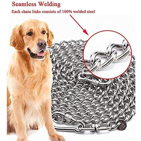 レトリバー Weiner 頑丈な金属製犬用チェーンカラー、バックル付きの大型犬