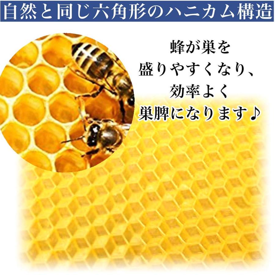 蜂の巣 蜜蜂 ミツバチ用 飼育 シート 巣礎 養蜂 ハニカム 巣 蜜蝋 採蜜