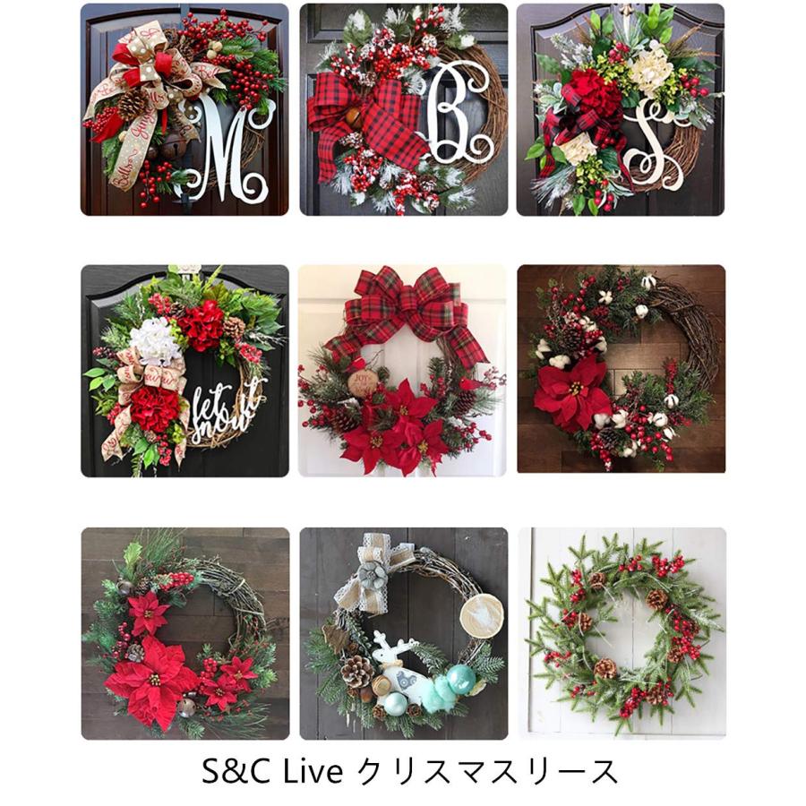 クリスマス リース 玄関ドア ミニ 小 30cm ナチュラル風 シンプル