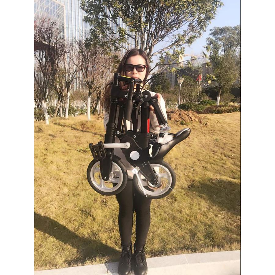 にゃあご（折りたたみ自転車） imgrc0132746305.jpg