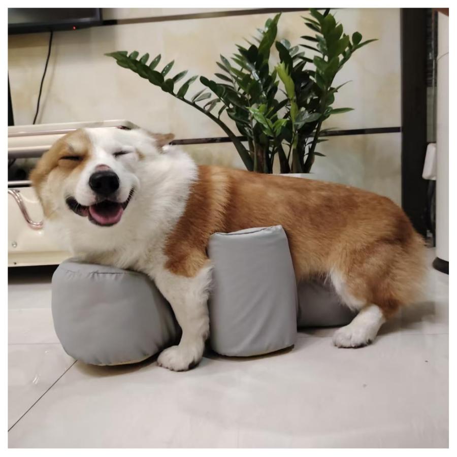 犬用ソファ スツール 老齢犬 介護用クッション 【背面開口 排便と