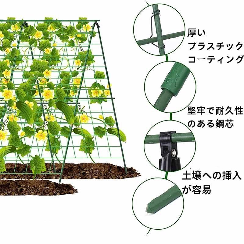 植物族　デッキパーツセット　最終お値下げ スターターデッキ 天王寺飛鳥＆上柚木綾瀬・黒崎神門＆青葉千歳
