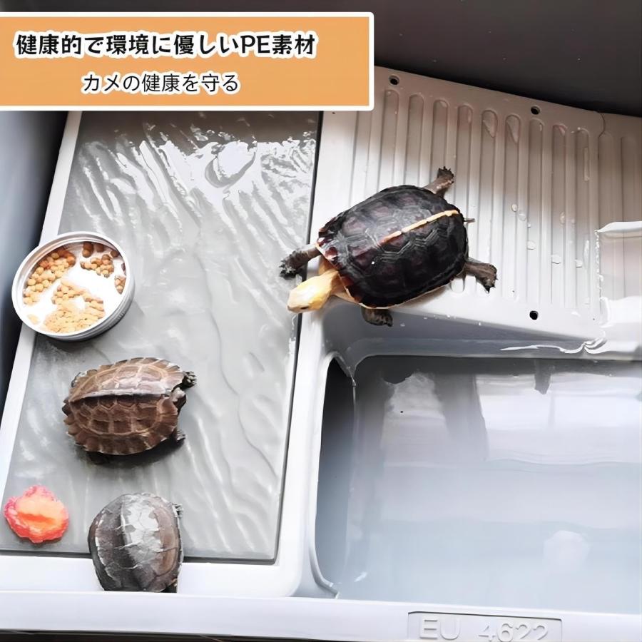 亀 水槽 大きい 亀の水槽 特大亀 飼育ケース 蓋付きカメ 水槽 亀 水槽 大きい 亀の水槽 特大亀 飼育ケース 蓋付きカメ 水槽