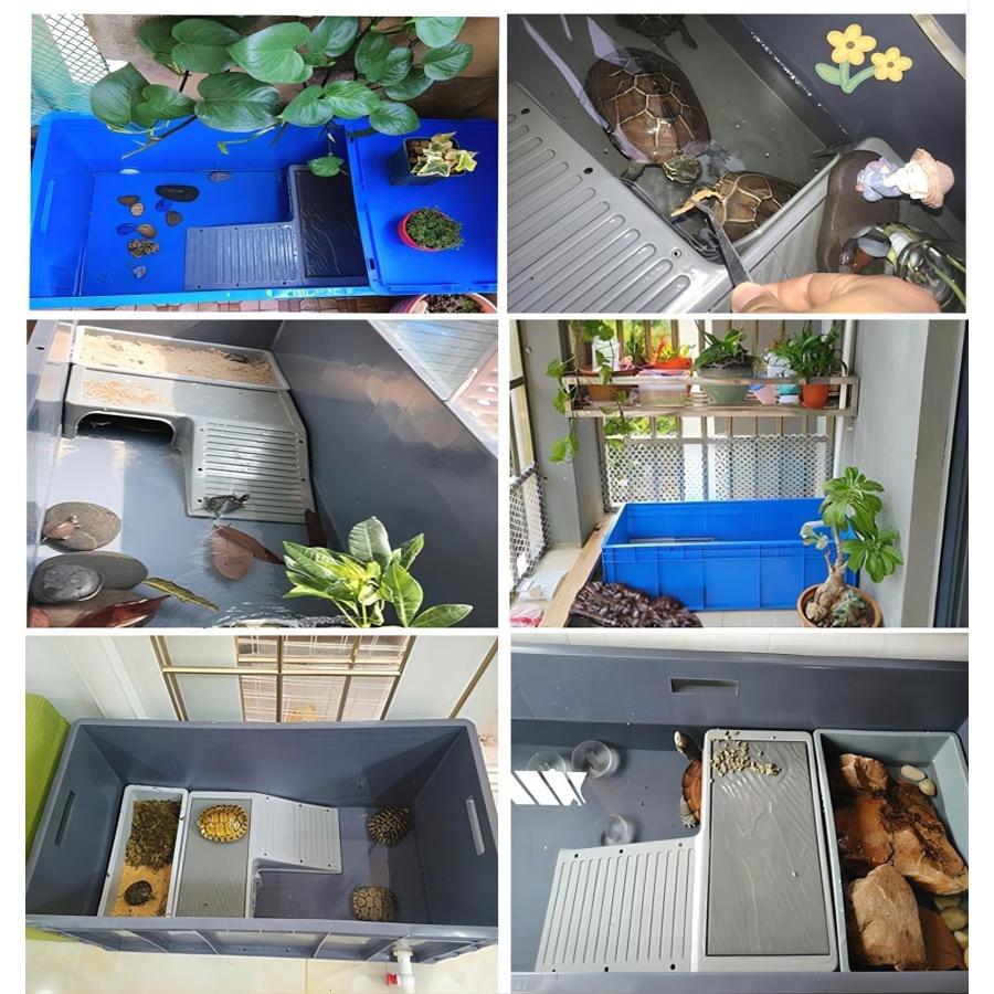 亀 水槽 大きい 亀の水槽 特大亀 飼育ケース 蓋付きカメ 水槽 亀 水槽 大きい 亀の水槽 特大亀 飼育ケース 蓋付きカメ 水槽