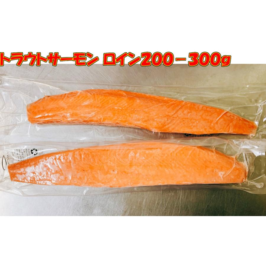刺身用 チリ産トラウトサーモン 本店 ロイン