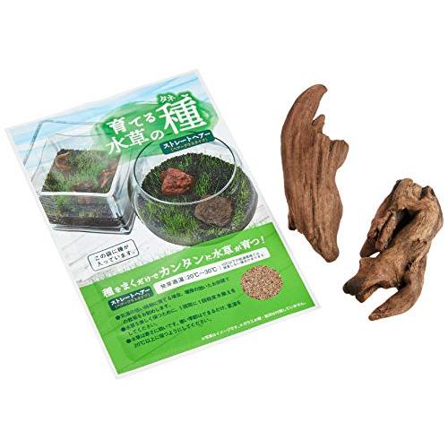 ニッソー 育てる水草の種 ストレートヘアーamp 流木 ファッション