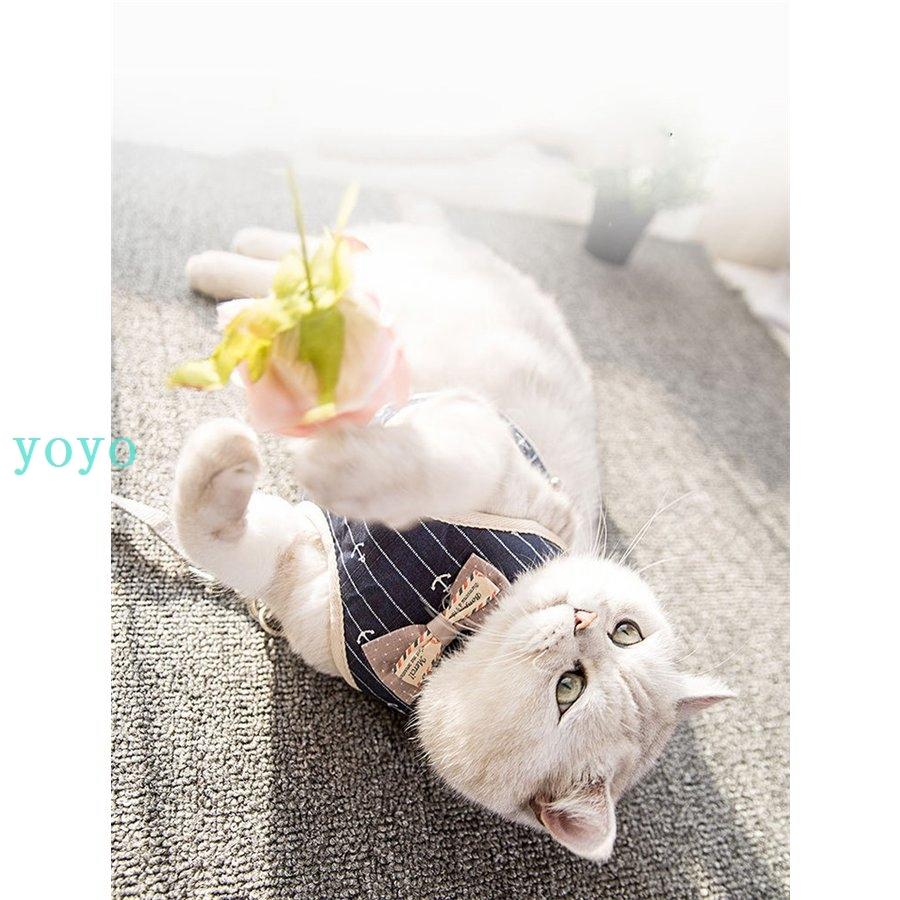 特価商品 リード付きハーネス Sサイズ ピンク 首輪 猫 散歩 胸当 犬 子犬 うさぎ Www Anavara Com