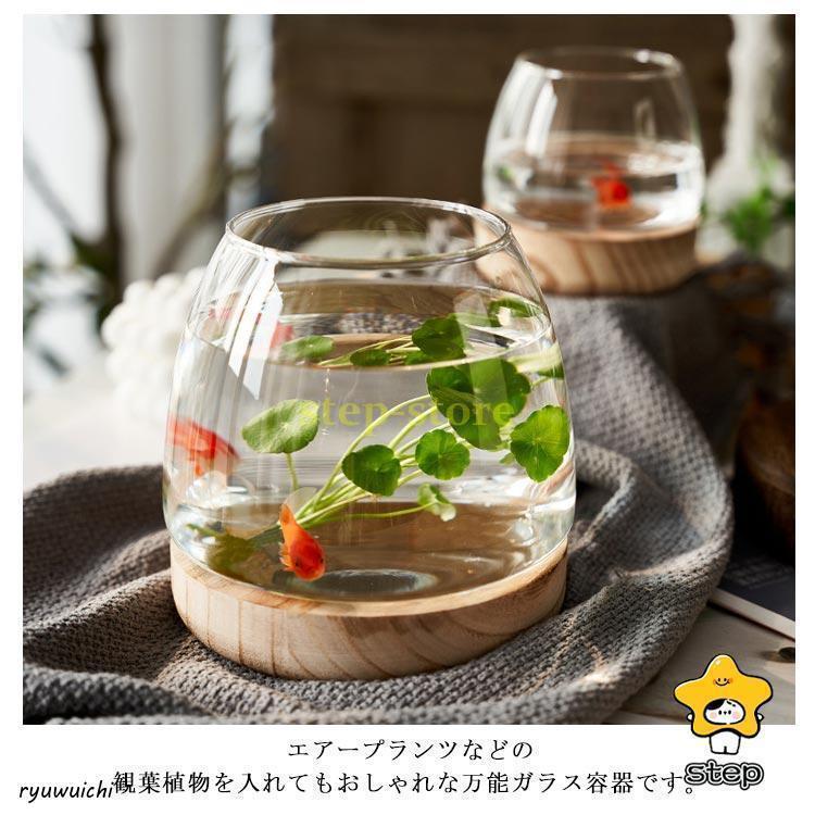 金魚鉢 ガラス製 天然木 丸型 水槽 メダカ鉢 透明 クリア 丸 鉢