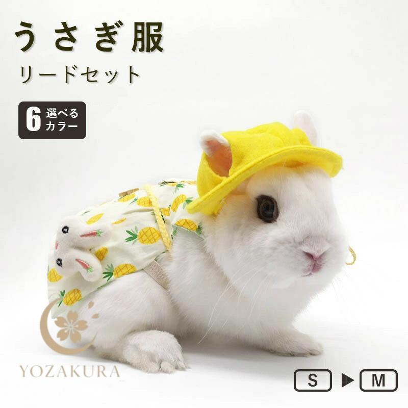 （レア）ペットワークス　うさぎい　お洋服付き ウサギ服 うさぎ用 ペット服 リードセット 可愛い 小動物 ウサギ お