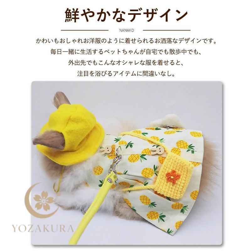 ウサギ服 うさぎ用 ペット服 リードセット 可愛い 小動物 ウサギ お