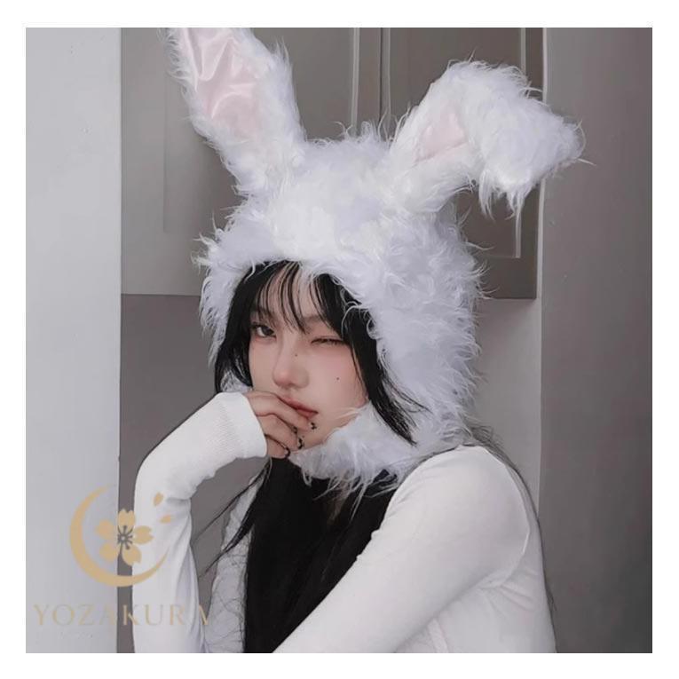 かぶりもの様 リクエスト 2点 まとめ商品 ラミプリュス ガバッと開いて一目瞭然（いちもくりょうぜん