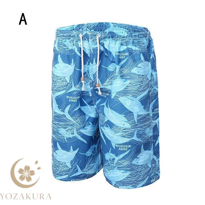 完売品　キャプテンズヘルム　サーフパンツ　ハーフパンツ　ブルー系 完売品 キャプテンズヘルム サーフパンツ ハーフパンツ ブルー系