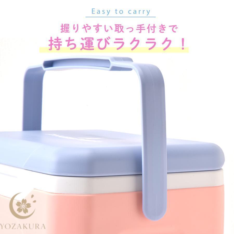 クーラーボックス 小型 ハード 5.5L 4色 釣り 部活 ピクニック