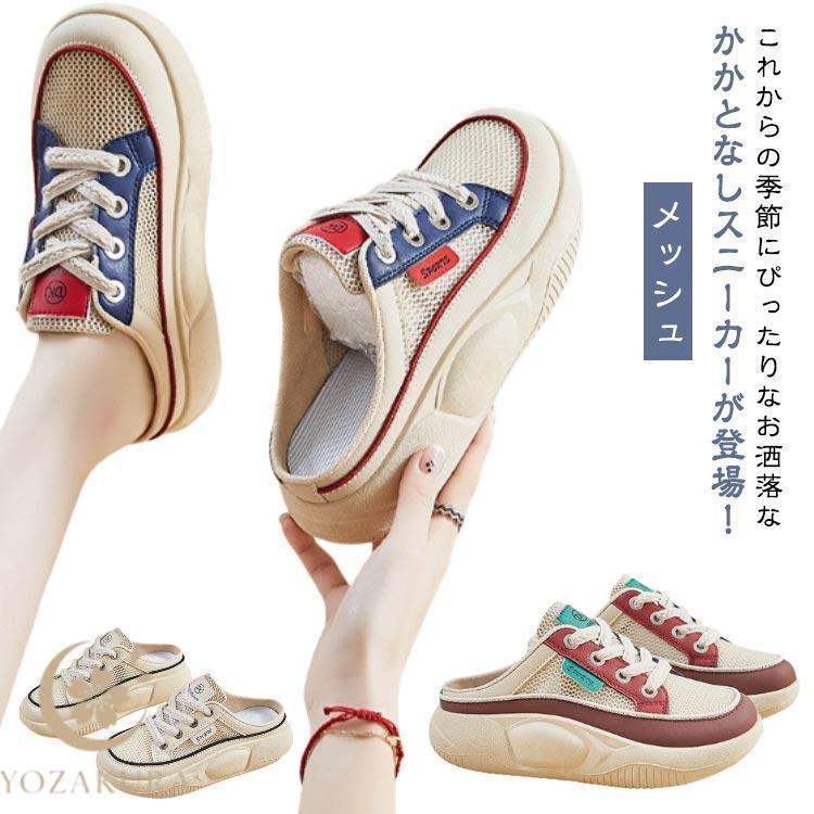 新品 超レア シジックス 厚みのあるダイ ベアーサンタ 新品 超レア