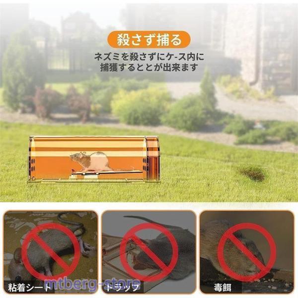 ネズミ取りカゴ ねずみとり 筒型 ネズミ捕獲器 再利用 プラスチック製 殺さず捕る ネズミ退治 マウストラップ 簡単設置 無毒無害 体長17cm 4個セットの画像