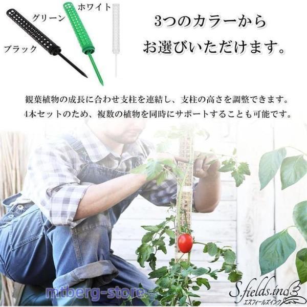 モスポール 支柱 4本セット 連結可 観葉植物 モンステラ プラスチック