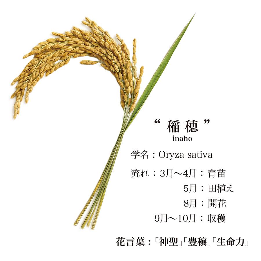 織のカレンダー2026 [ 稲穂 ]   タペストリー 写真織 米沢織 カレンダー インテリア 贈り物 プレゼント お歳暮 |  | 01