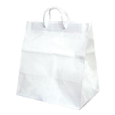 手提げ紙バック601(白無地)（1枚） | 