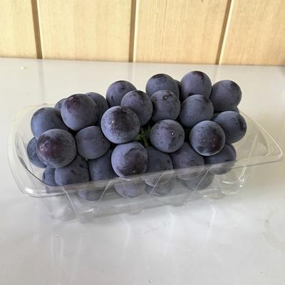 フルーツケース　フルーツ12 A-PET（100枚）信和 透明容器　フルーツ容器 |  | 02