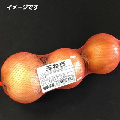 胴貼ネット　無地　WL-50R　赤　50入 赤ネット ネット みかんネット 玉ねぎネット 栗ネット |  | 01