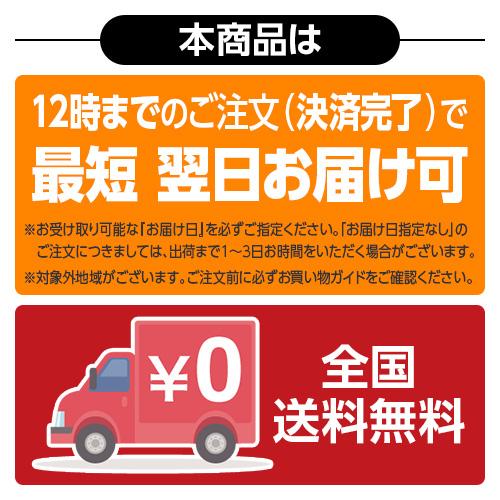 レーザー＆レーダー探知機 A1100L ユピテル 3年保証 日本製 MSSS対応 無線LAN搭載( WEB限定 / 取説DL版 )｜ypdirect｜02