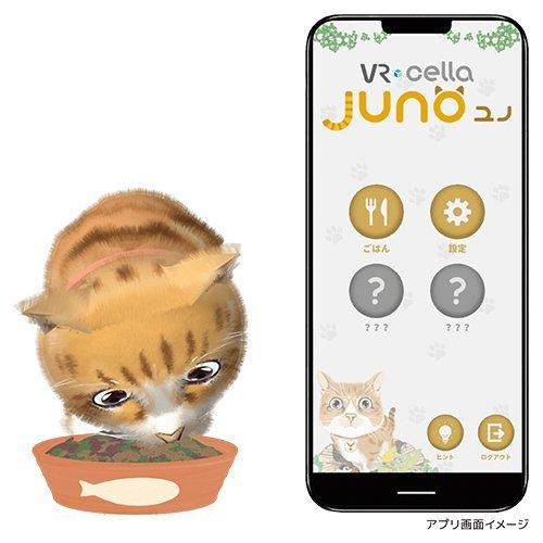 ユピテル（yupiteru） バーチャルペット VC-01J Juno ユノ : Yupiteru