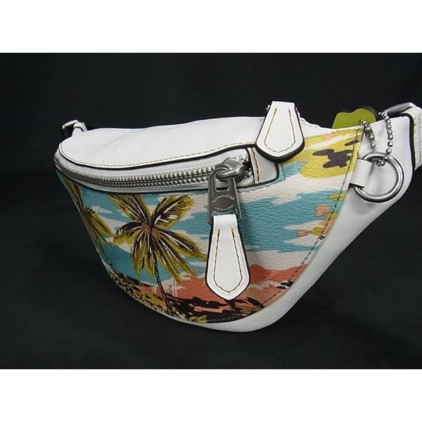 COACH □極美品□ コーチ CK379 レザー ヤシの木 ウエストポーチ