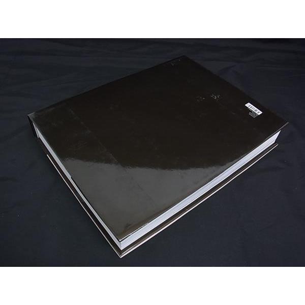 ルイ・ヴィトン : 華麗なる歴史 : モダン・ラグジュアリーの誕生 ルイ・ヴィトン 華麗なる歴史 モダン・ラグジュアリーの誕生