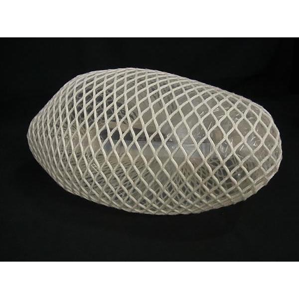 LONGCHAMP（ロンシャン） □新品同様□ ルプリアージュ フィレ