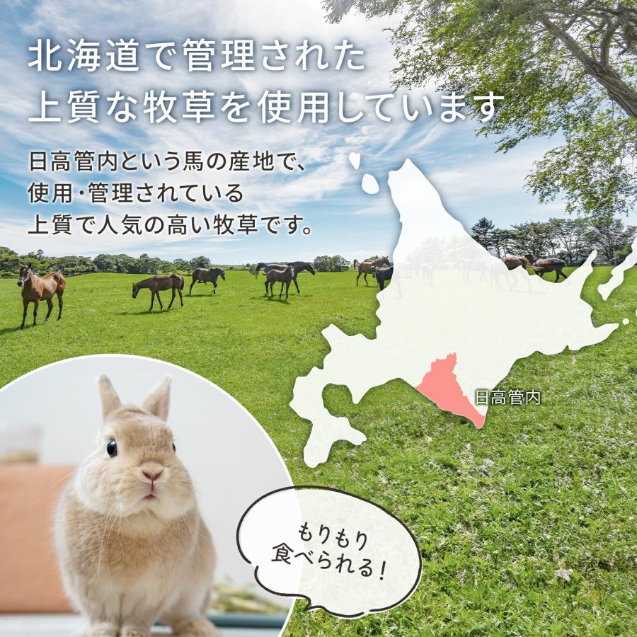 牧草王国 うさぎ 牧草 カナダ産 特選チモシー 1番刈りダブル お試し50g