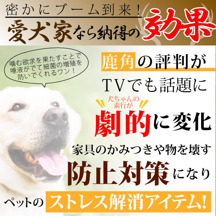 あなたにおすすめの商品 蝦夷鹿 犬のおもちゃ 中型犬 大型犬 いたずら防止 噛み癖 ドッグフード 犬のおやつ 歯磨き 口臭予防 デンタルケア Atlantide1 Com