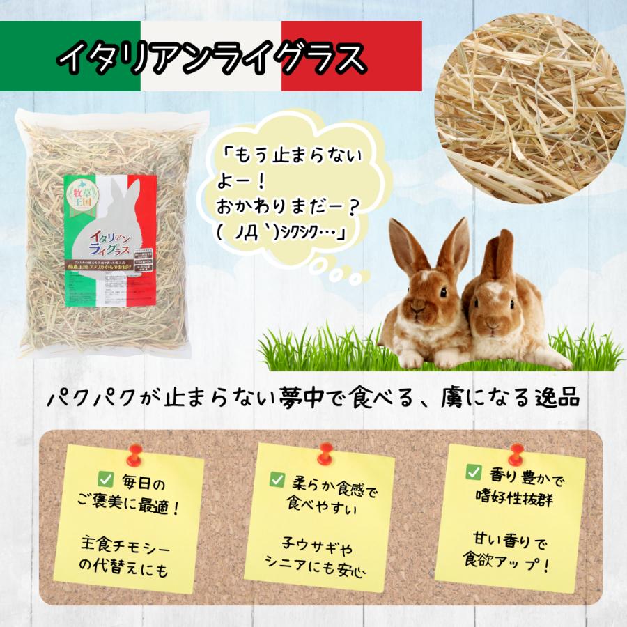 専用となります。 うさぎ牧草 GEX うさぎの牧草BOX固定式 ホワイト | うさぎ専門店ラッキーハート