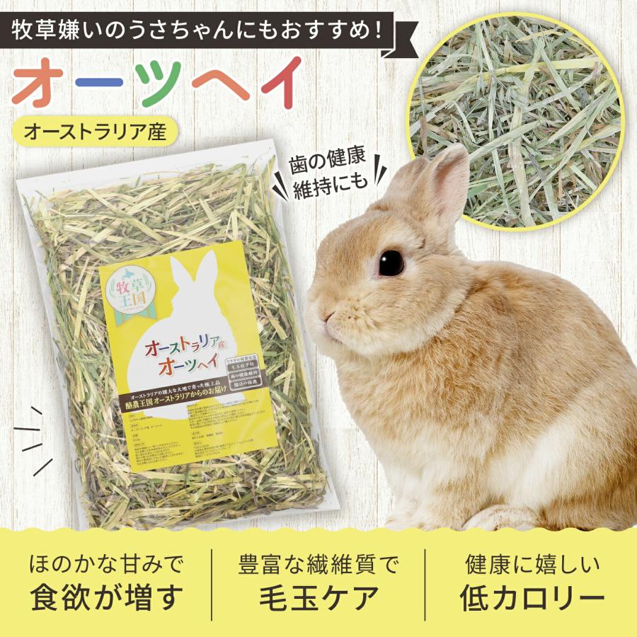 牧草王国 うさぎ 牧草 オーツヘイ 特選プレミアム オーストラリア産
