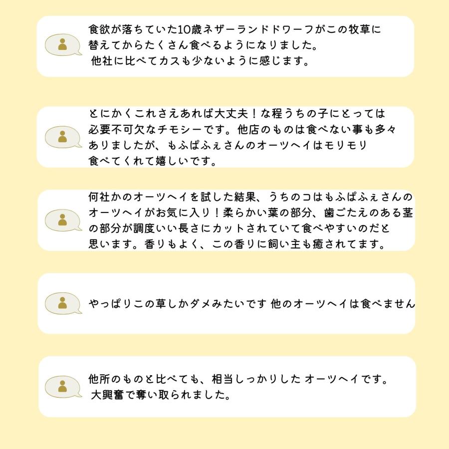 牧草王国 うさぎ 牧草 オーツヘイ 特選プレミアム オーストラリア産 
