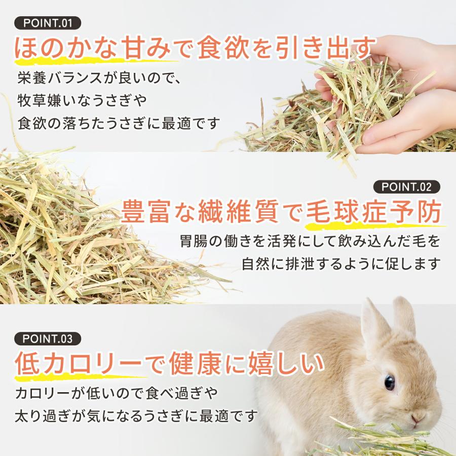牧草王国 うさぎ 牧草 オーツヘイ 特選プレミアム オーストラリア産
