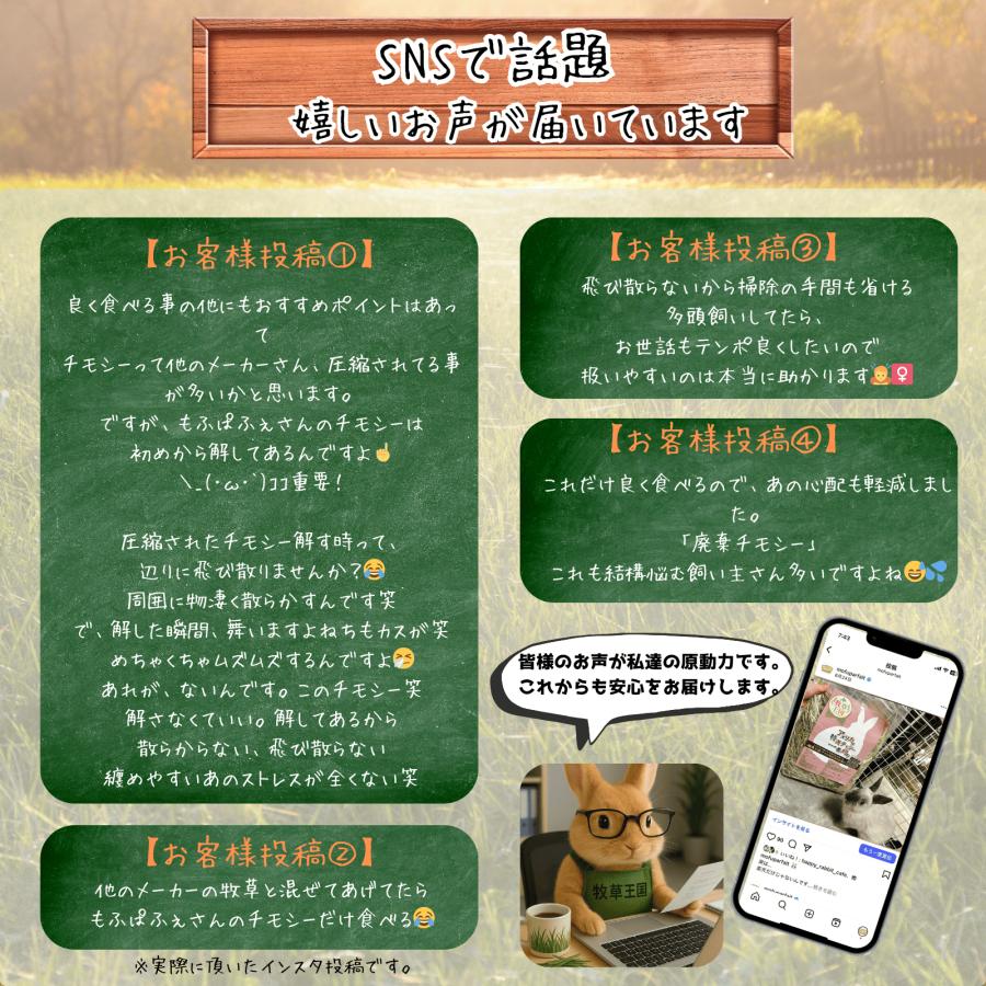 うさぎ 牧草 食べ比べ12種セット 50g×12袋 ウサギ 餌 チモシー チンチラ デグー モルモット ペット フード もふぱふぇ 牧草王国 | 牧草王国 | 05