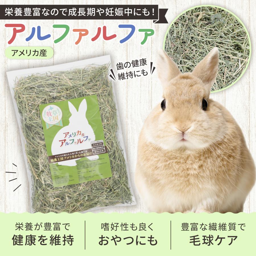 約1ヶ月分 牧草 アルファルファ うさぎ ウサギ モルモット チンチラ 北海道産 moji_alfalfa_500g.jpg