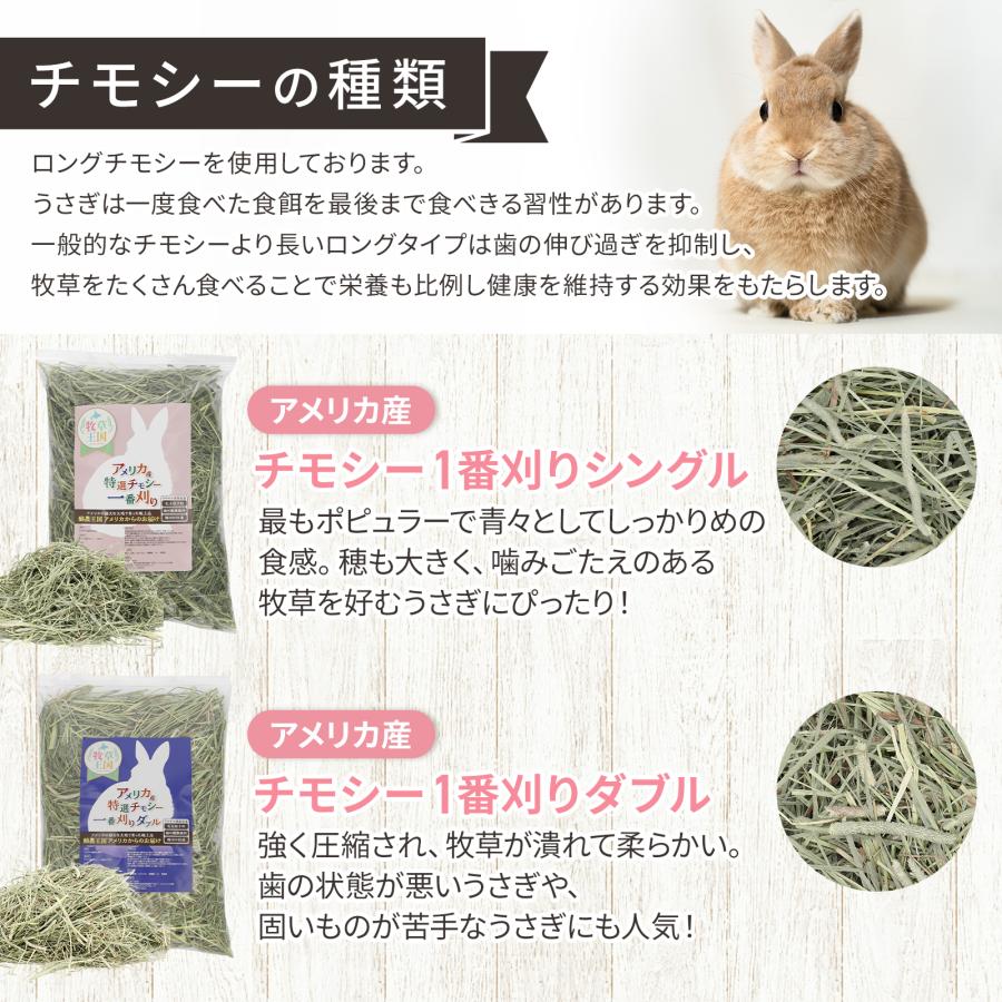 【ラベル無し】うさぎ牧草 プレミアムチモシー シングルプレス 牧草王国 500g アメリカ産 定番商品 US アメリカ 1番刈り 一番狩り うさぎ 牧草 mofu｜ypg2017｜04