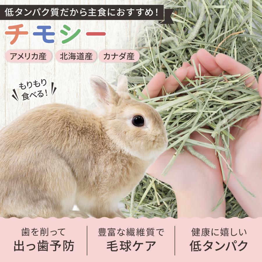 うさぎ牧草 ジップ付  ウサギ チモシー ダブルプレス 500g×6袋 アメリカ産 牧草王国 US 1番刈り 一番刈り うさぎ 牧草 mofu parfait もふぱふぇ 牧草｜ypg2017｜02