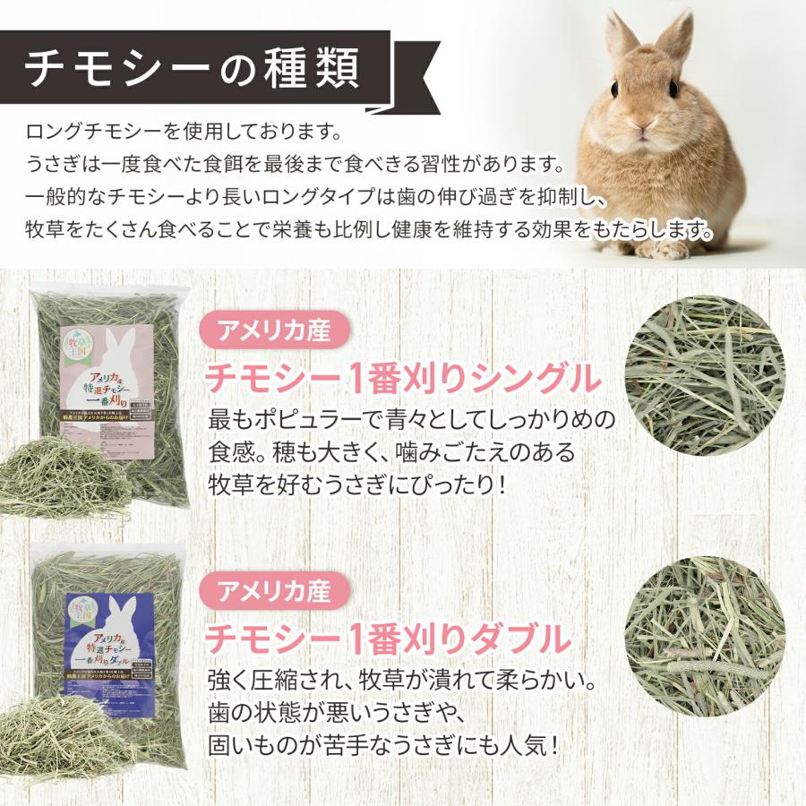 牧草王国 うさぎ 牧草 チモシー 特選プレミアム アメリカ産 2番刈り