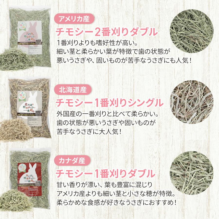 牧草王国 うさぎ 牧草 チモシー 特選プレミアム アメリカ産 2番刈り